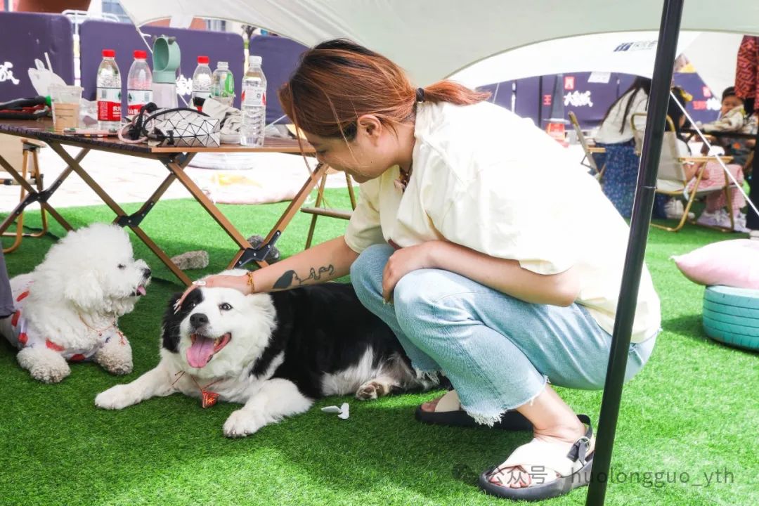 西宁大象城“宠友生涯节”来啦~_多彩联盟集团官方网站