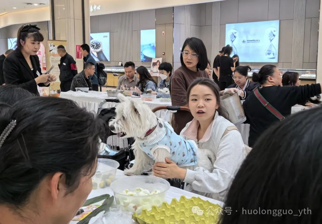 西宁大象城“宠友生涯节”来啦~_多彩联盟集团官方网站