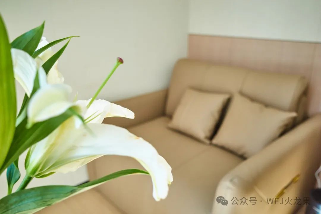 黑科技氧舱落户拉萨多彩联盟_多彩联盟集团官方网站