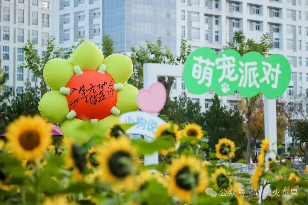 四店同庆 业绩飘红_多彩联盟集团官方网站