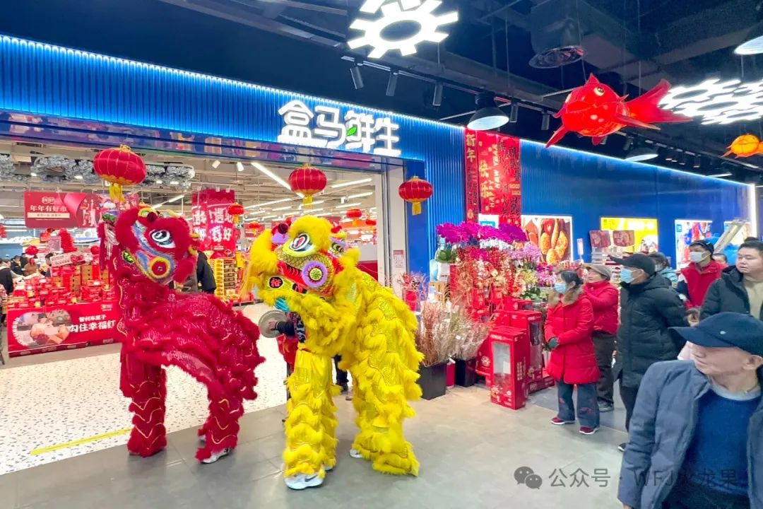 非遗耀新春（1）：雄狮献瑞启新程_多彩联盟集团官方网站