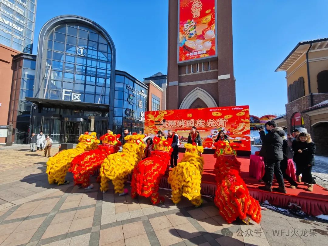 2025开门红 | 火树银花闹元宵！_多彩联盟集团官方网站