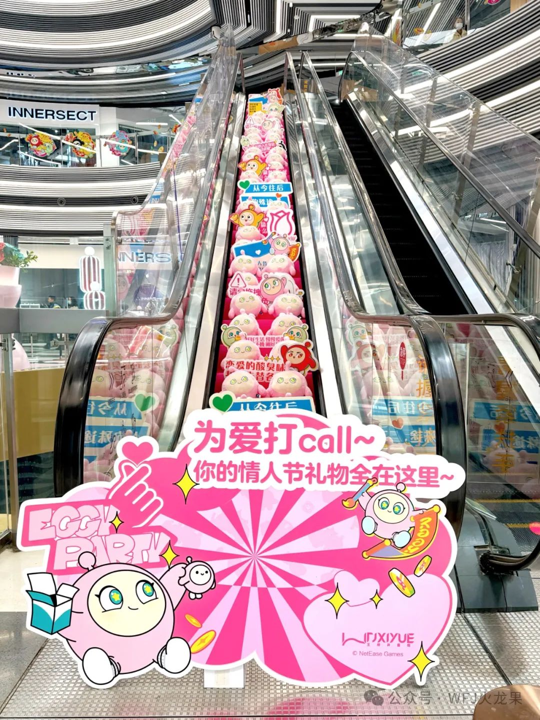 2025开门红 | 火树银花闹元宵！_多彩联盟集团官方网站