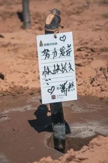 最尤物间四月天 不负春风与善行_多彩联盟集团官方网站